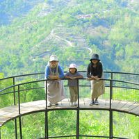 suara asli - Nurrarera