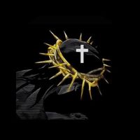 noahs.ark74
