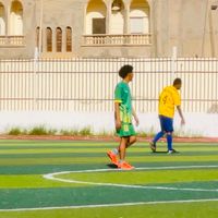 الصوت الأصلي