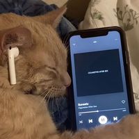 original sound