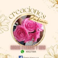 daniavasquez435