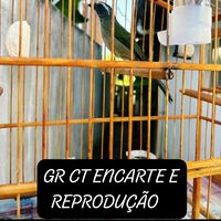 ctgrencartereproducao