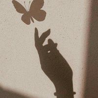 music_26_11