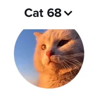 original sound - hulunbeierdgd68