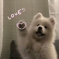 100lovely_