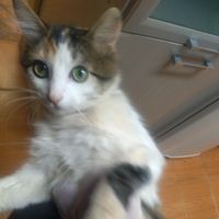 meggg764