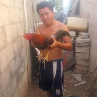 sonido original