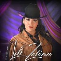 original sound - lilizetinaoficial