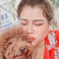 nhạc nền - ngọclinh