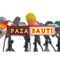 original sound - Paza Sauti