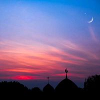 suara asli - Jingga_Quote