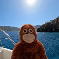 original sound - waules