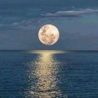 luapelomeutelescopio