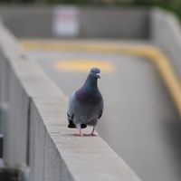 southatl.productions