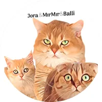 original sound - balliofficiall