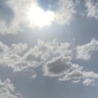 multifandom4themostpart