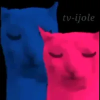 original sound - _beluwu54