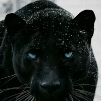 original sound - xill.talker