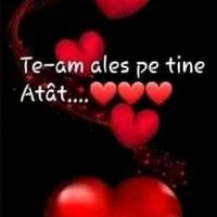 olesea053