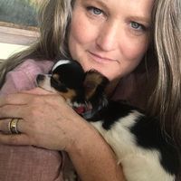 pepparkersgreatbigworld