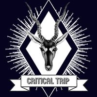 critical_trip2
