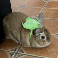 You are nice you are pretty you are my friend