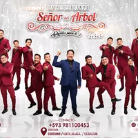 original sound - arbolitosfans.oficial