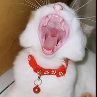 emang boleh sengantuk ini