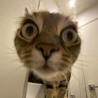 nastixxxz92