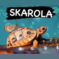 skarorla