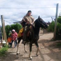 steban253