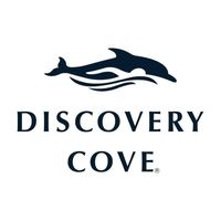 discoverycove