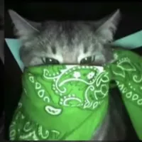 original sound - animeking2568