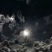 follow elonmuskswaifu