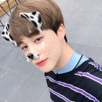 nicolauyohan