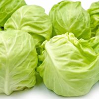 cabbages_and_greens