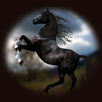 الصوت الأصلي - القلب الحزين