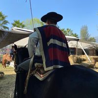 rafaelenriqueadas5
