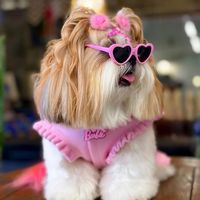 mypetlollaa