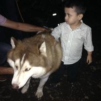 josejrmontiel