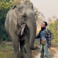 សំឡេងដើម - MeSna-អ្នកឃ្វាលដំរី