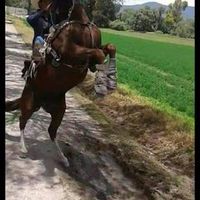 luismilopez6