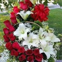 eli_mamani_208