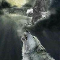 ilcarrettiereditiktok