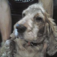 LOS CHICOS DEL MAIZ. Ecos De Un Futuro Pasado