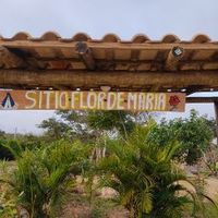 sitioflordemaria