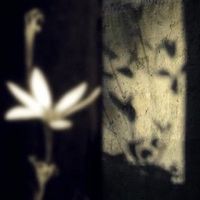 urm.idk.this.is.secret