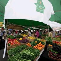 original sound - bekatoya4