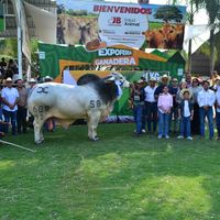 jhonjairo0721