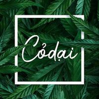 âm thanh gốc - Cỏ dại Music